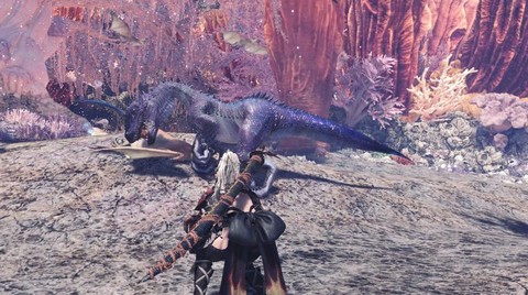 怪物猎人如何擦肩猎人