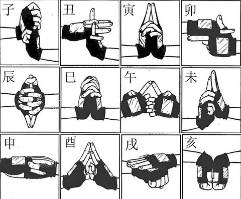 火影忍者结印怎么学[图2]