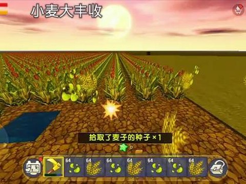 迷你世界如何收获麦子[图2]