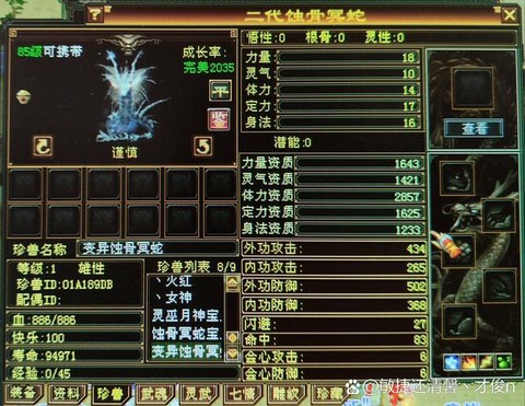 天龙八部体力是什么[图2]