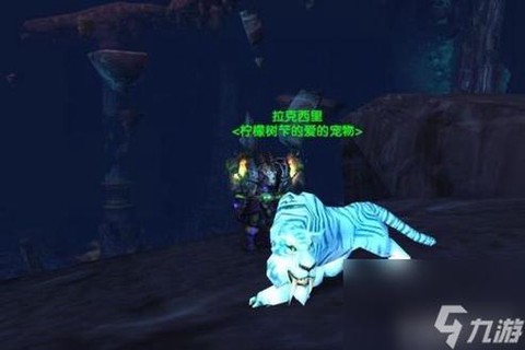 魔兽世界宠物怎么升级