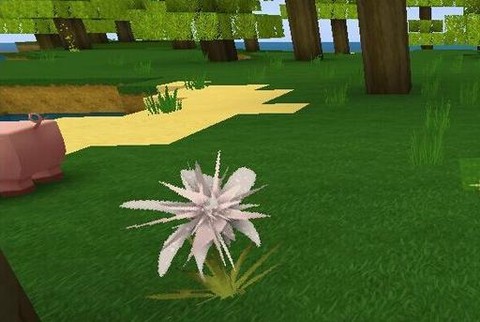 迷你世界龙舌兰怎么得[图2]