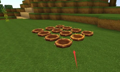 迷你世界鸡蛋怎么繁殖[图2]